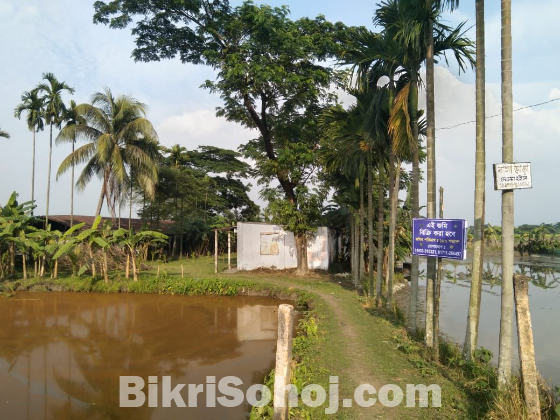 180 decimal plot sell